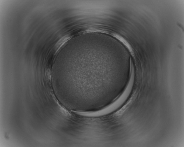 X0000091360809200708241309