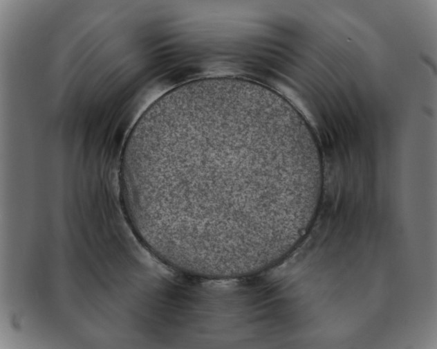 X0000091360810200708241309