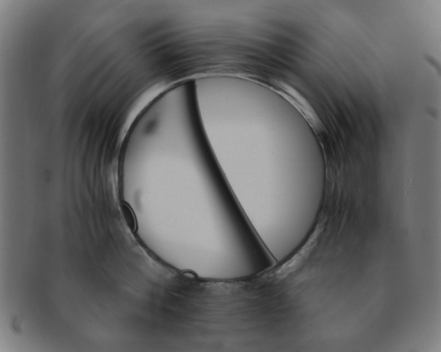 X0000091360812200708241309