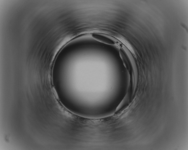 X0000091360813200708241309
