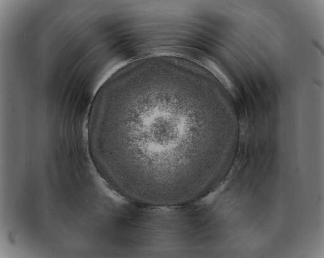 X0000091360814200708241309