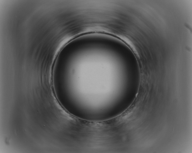 X0000091360815200708241309