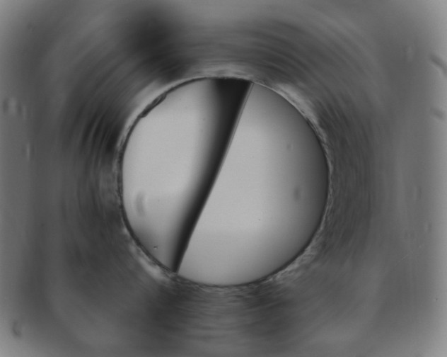 X0000091360816200708241309