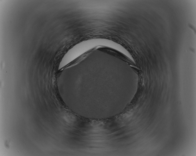 X0000091360818200708241308
