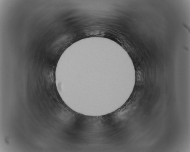 X0000091360820200708241308