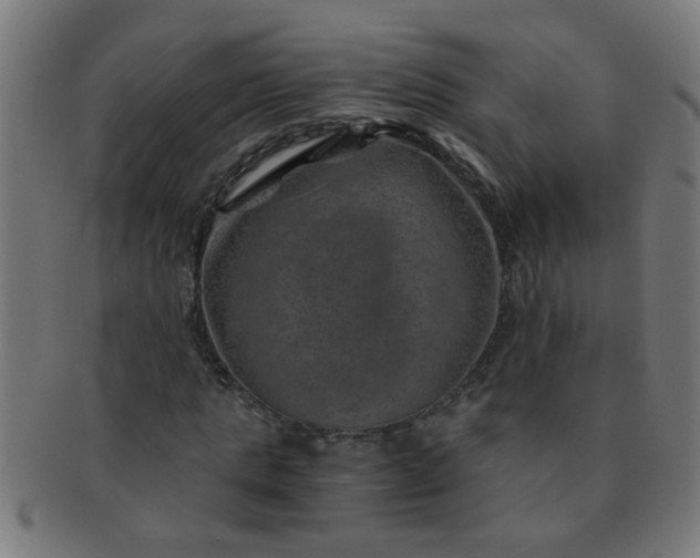 X0000091360821200708241308