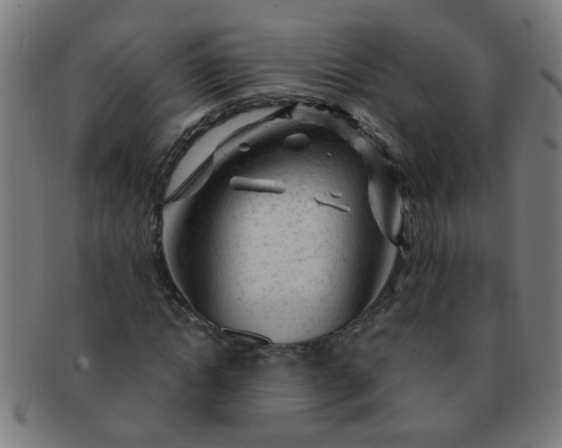 X0000091360822200708241308