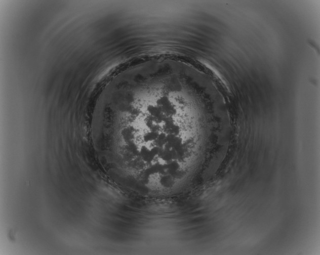 X0000091360823200708241308