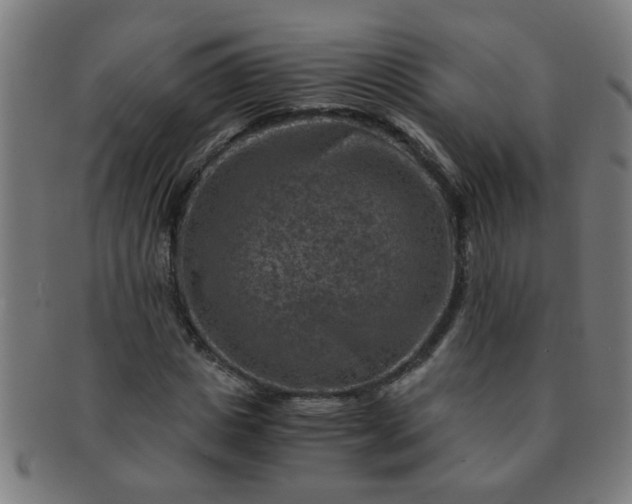 X0000091360825200708241308