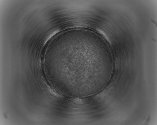X0000091360827200708241308