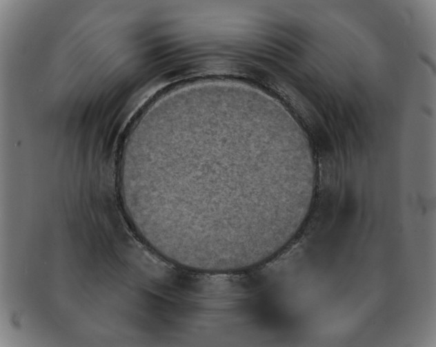 X0000091360828200708241308