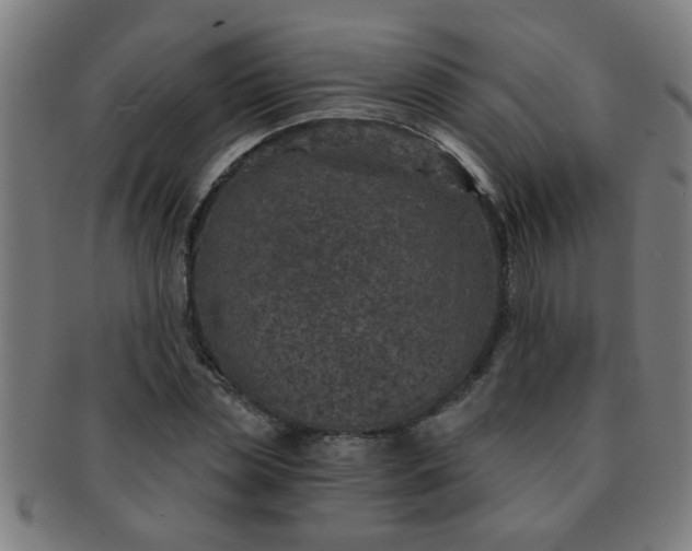 X0000091360829200708241308