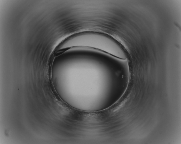 X0000091360830200708241308