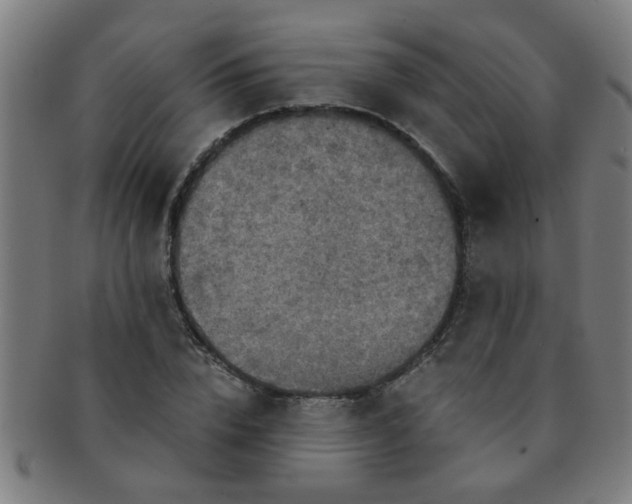 X0000091360832200708241308