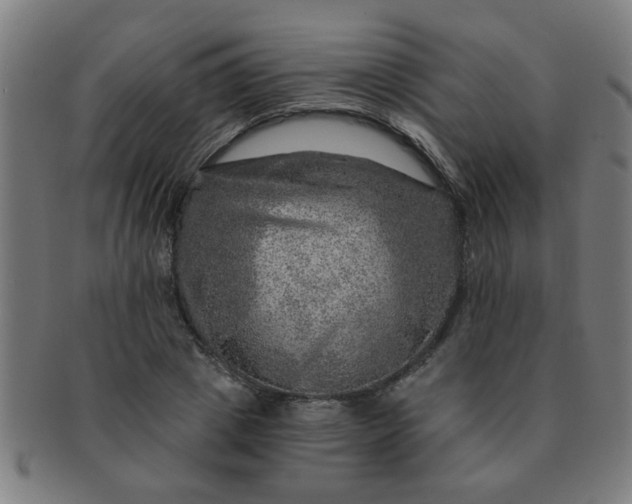 X0000091360833200708241308