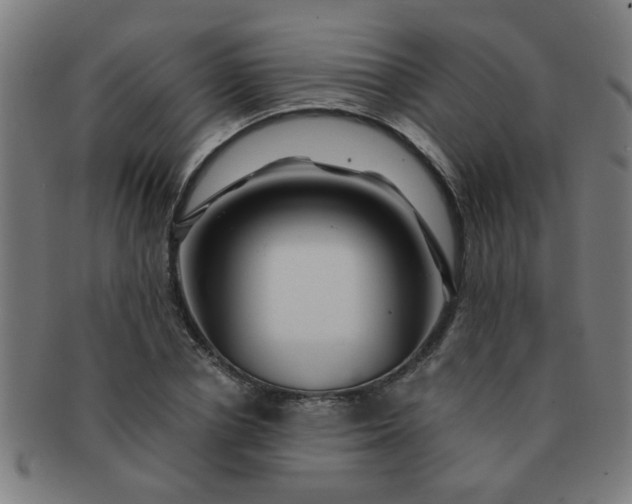 X0000091360834200708241308