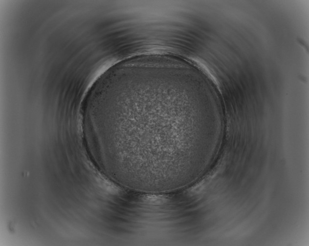 X0000091360835200708241308