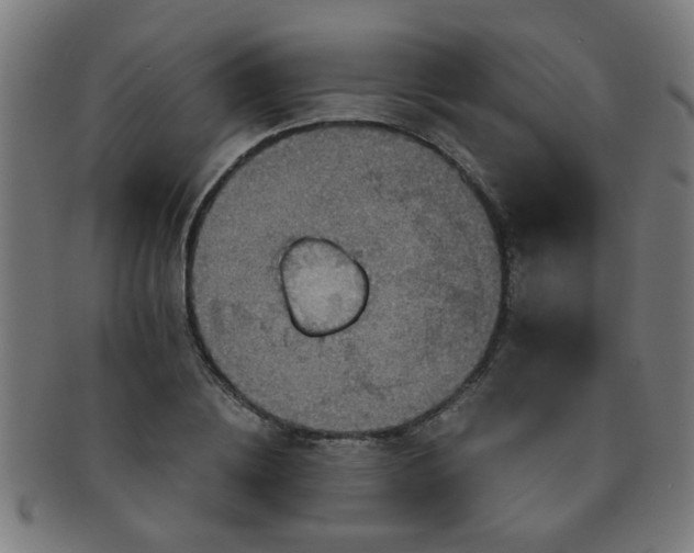 X0000091360836200708241308