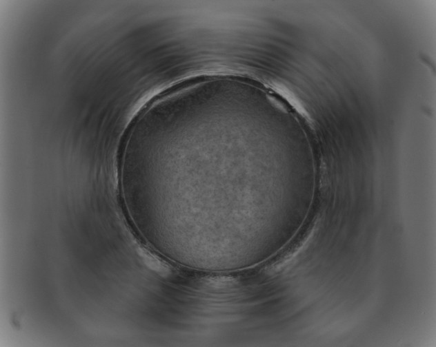 X0000091360837200708241308