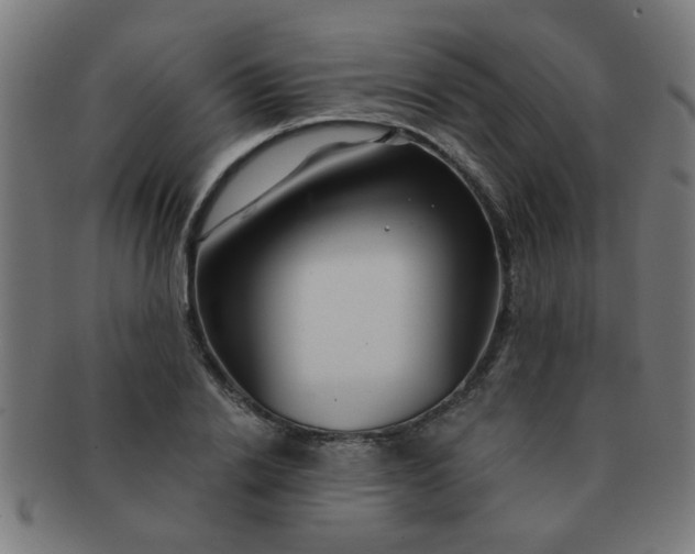 X0000091360838200708241308