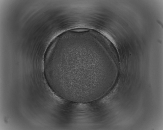 X0000091360839200708241308