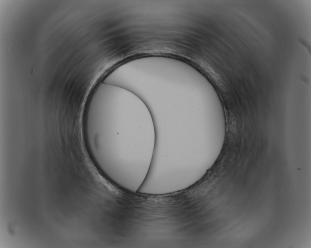 X0000091360840200708241308