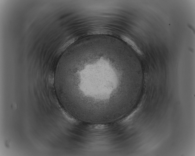 X0000091360841200708241308