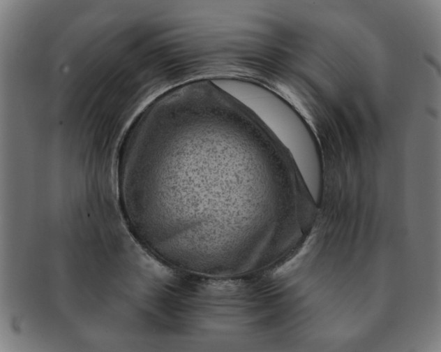 X0000091360843200708241308
