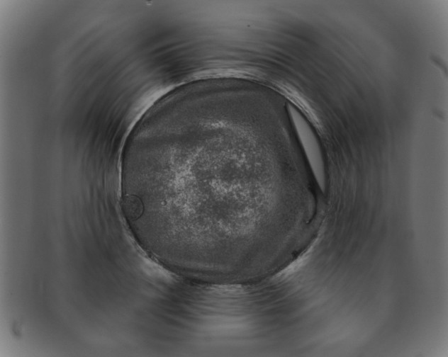 X0000091360844200708241308