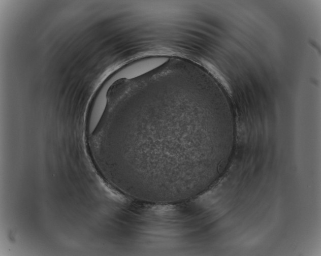 X0000091360845200708241308