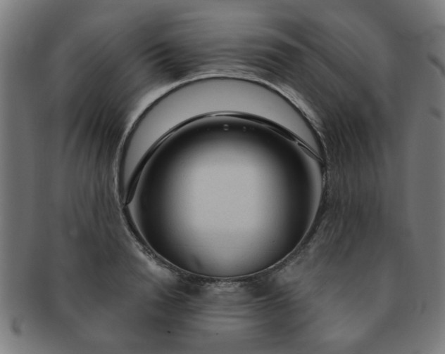 X0000091360846200708241308