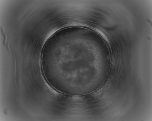 X0000091360847200708241308
