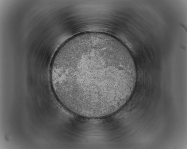 X0000091360848200708241309