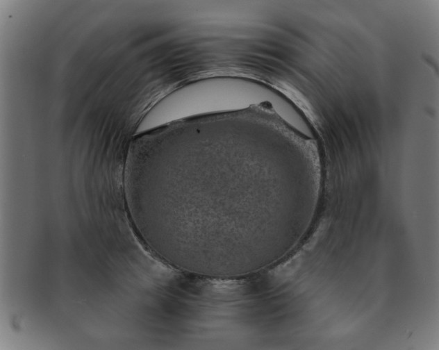X0000091360849200708241309