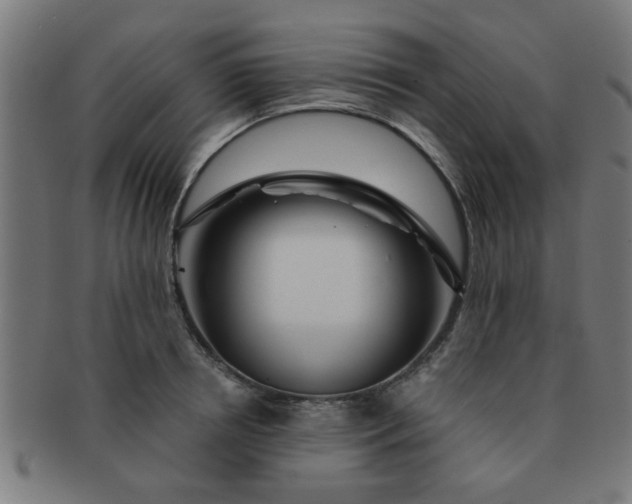 X0000091360850200708241309
