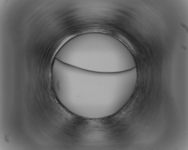 X0000091360852200708241309