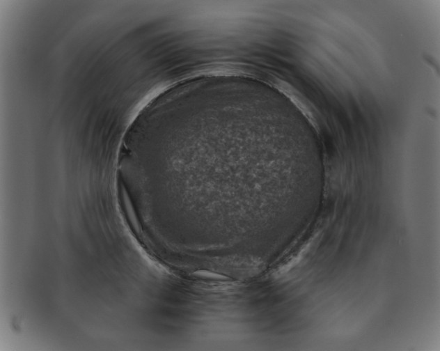 X0000091360853200708241309