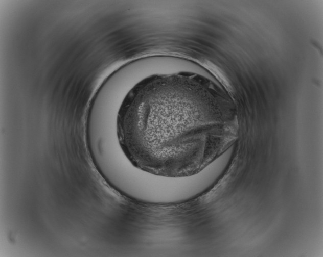 X0000091360854200708241309