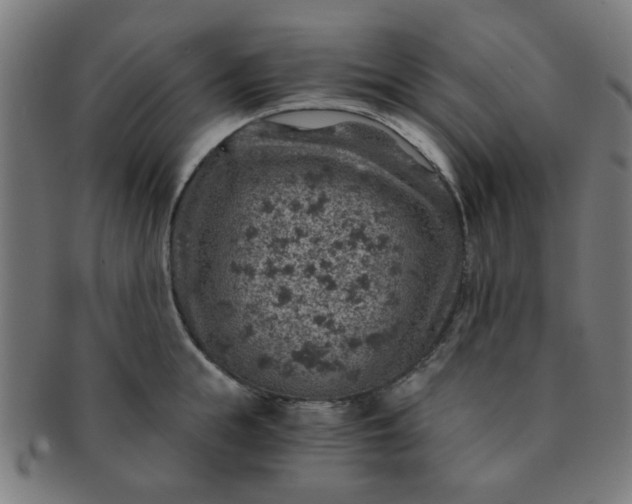 X0000091360855200708241309