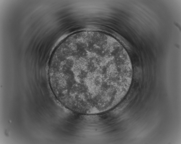 X0000091360856200708241309