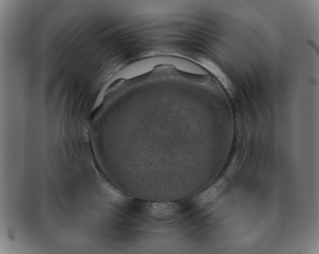 X0000091360857200708241309