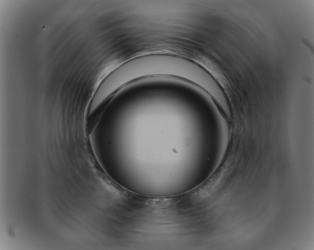 X0000091360858200708241309