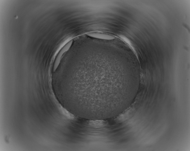 X0000091360859200708241309