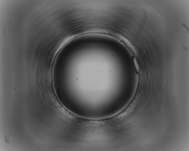 X0000091360860200708241309