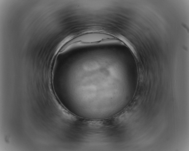 X0000091360861200708241309