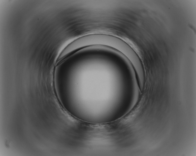 X0000091360862200708241309
