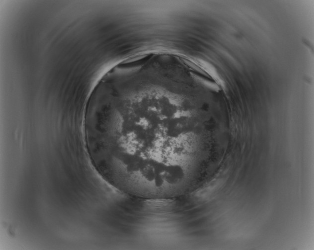 X0000091360863200708241309