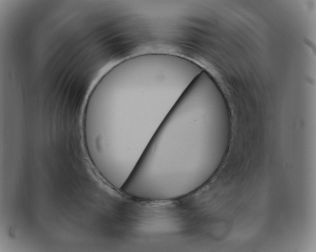 X0000091360864200708241309