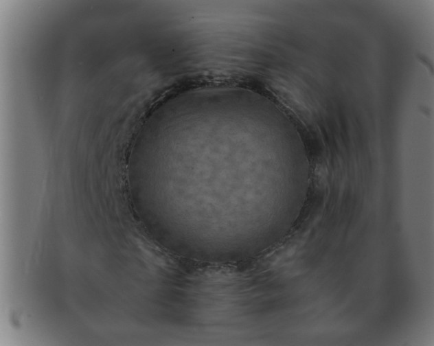 X0000091360865200708241308