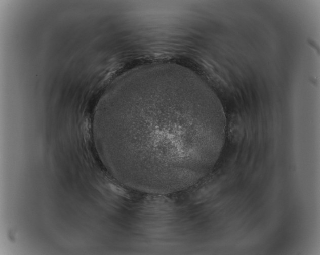 X0000091360866200708241308